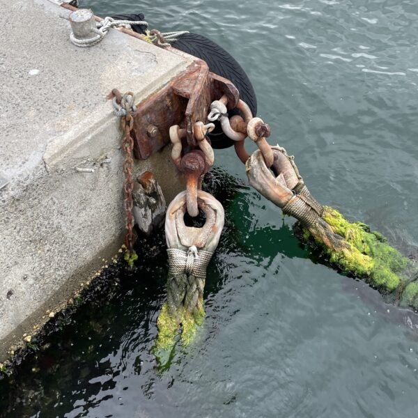 Zoom sur amarrage en Bretagne, dans le port de Concarneau