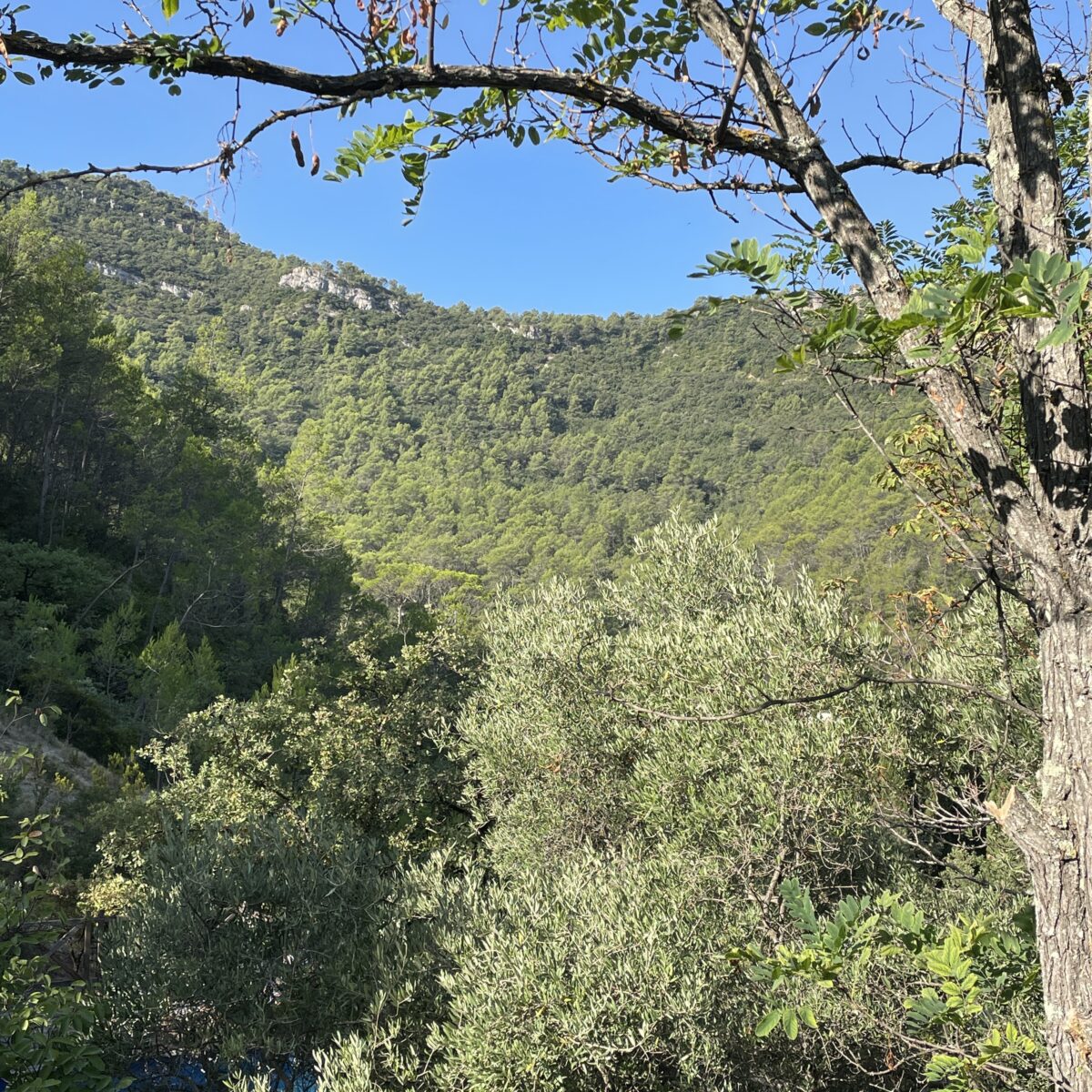 contempler dame nature au reveil