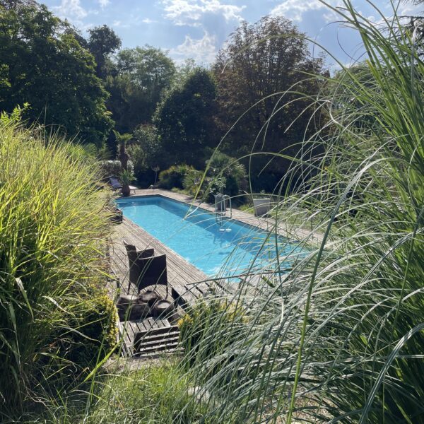 Quand tu découvres la monstrueuse piscine de ton Airbnb