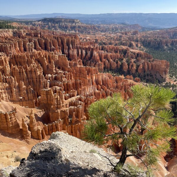 Cadrage et composition photo à Bryce Canyon, Utah