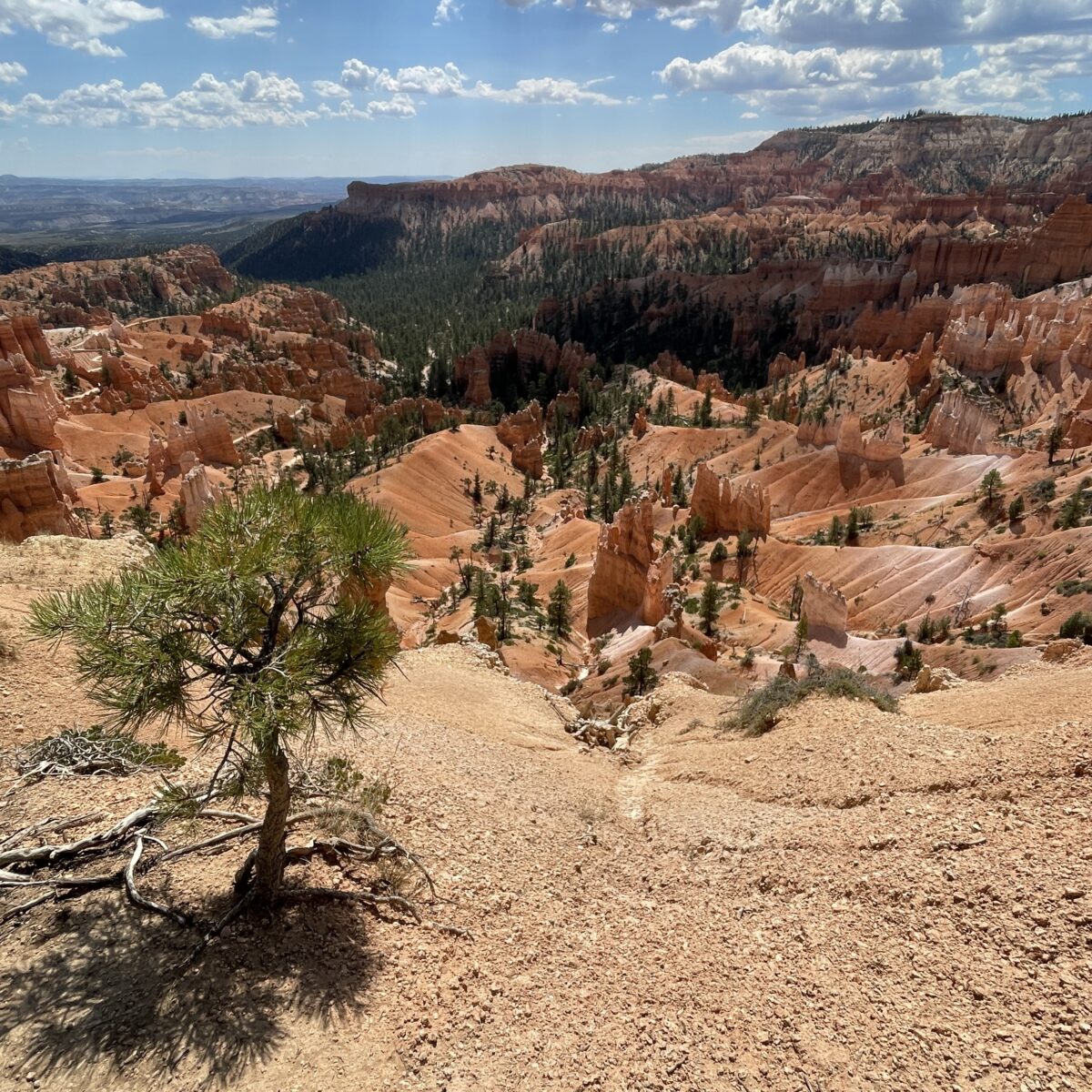 cadrage photo parfait Bryce canyon Utah