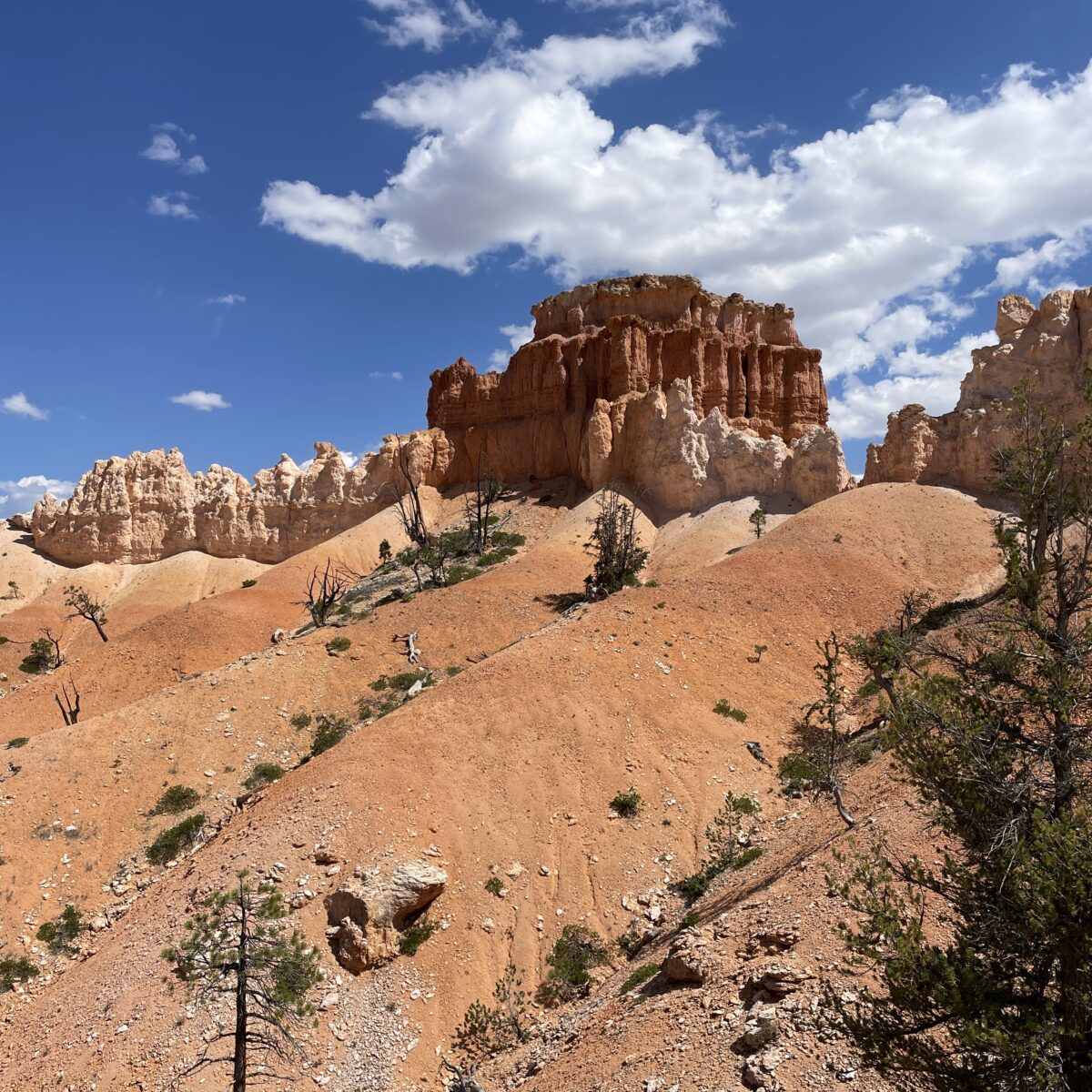 paysage western Bryce canyon Utah