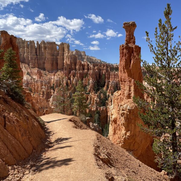 trail Bryce canyon Utah