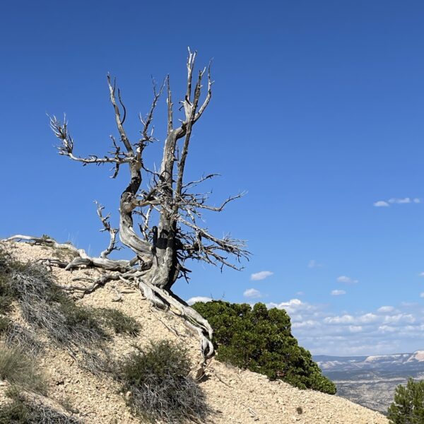 Paysages photogéniques de l’Utah, on en prend plein les yeux