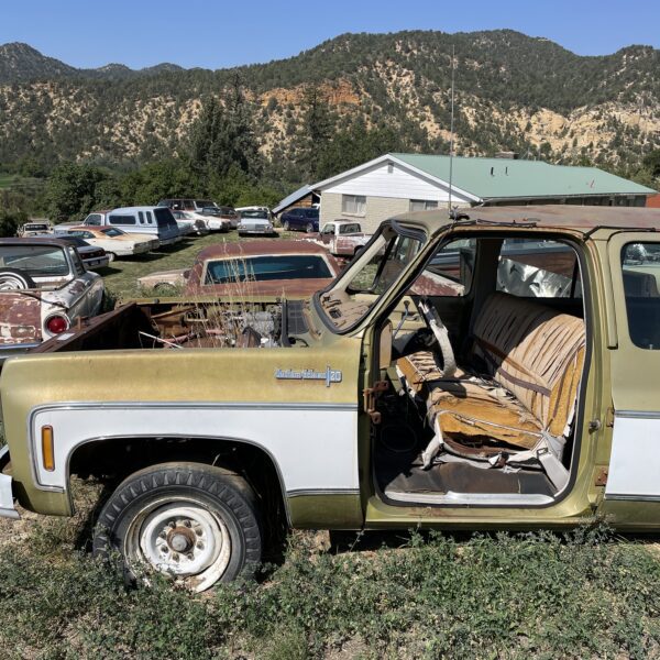 Chevrolet pick up chevy Custom Deluxe C