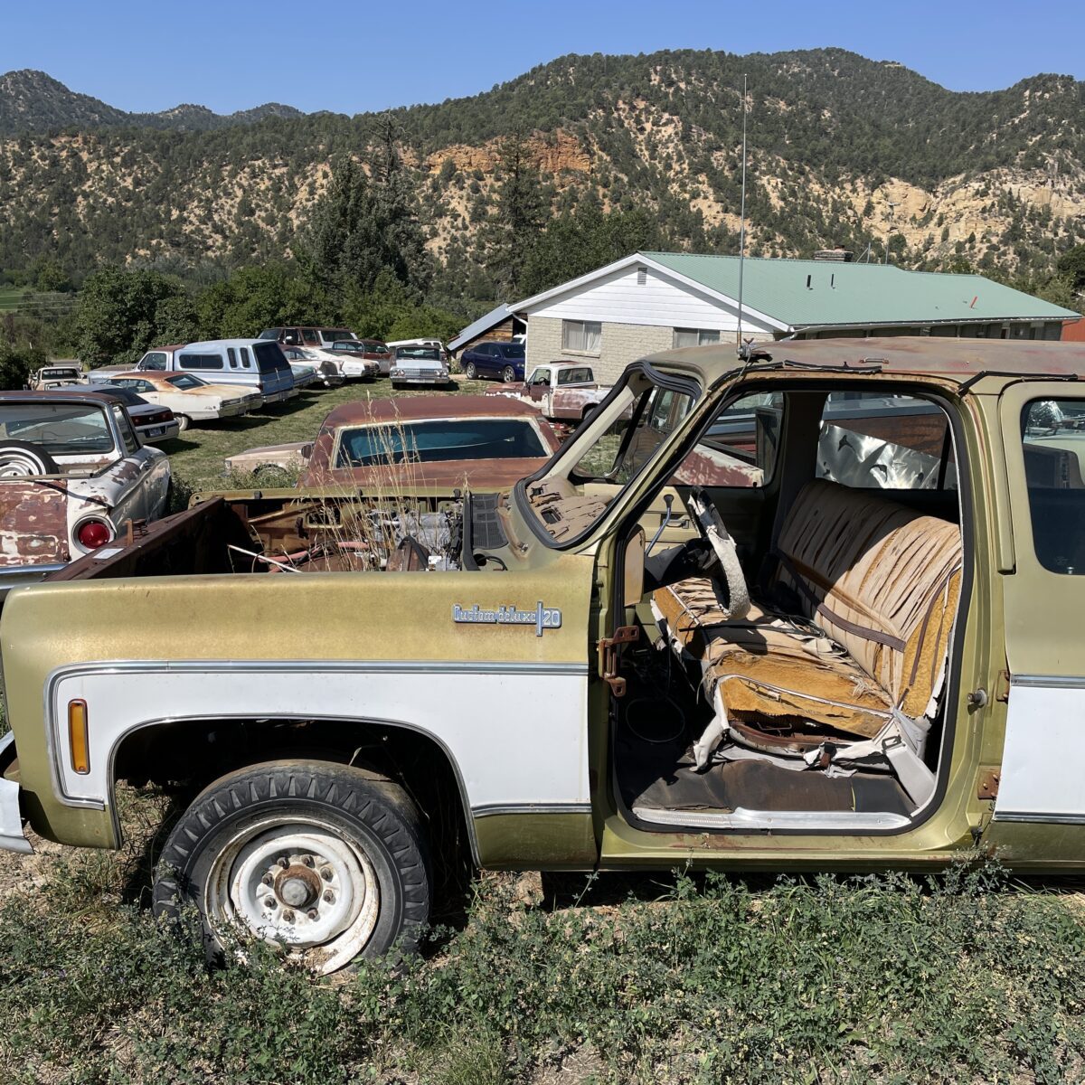 Chevrolet pick up chevy Custom Deluxe C