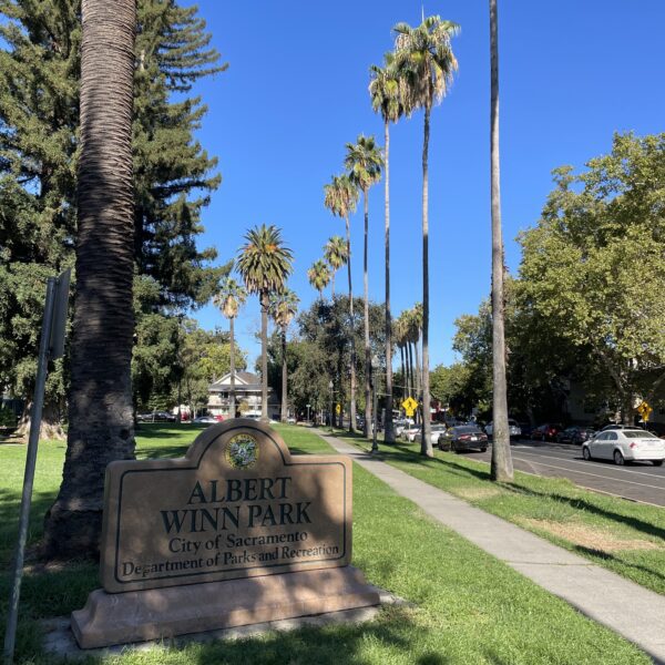 Ambiance californienne, un parc public de Sacramento