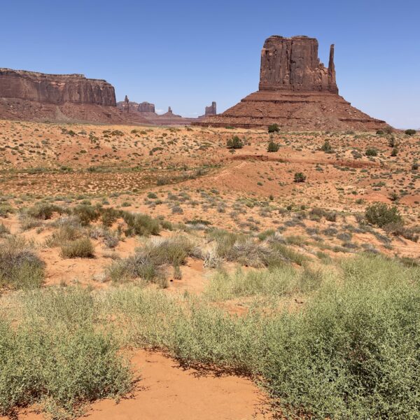 Composition photographique face à Monument Valley