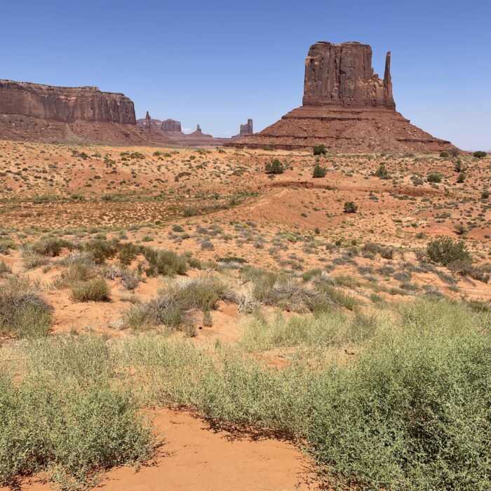 Monument Valley composition photo