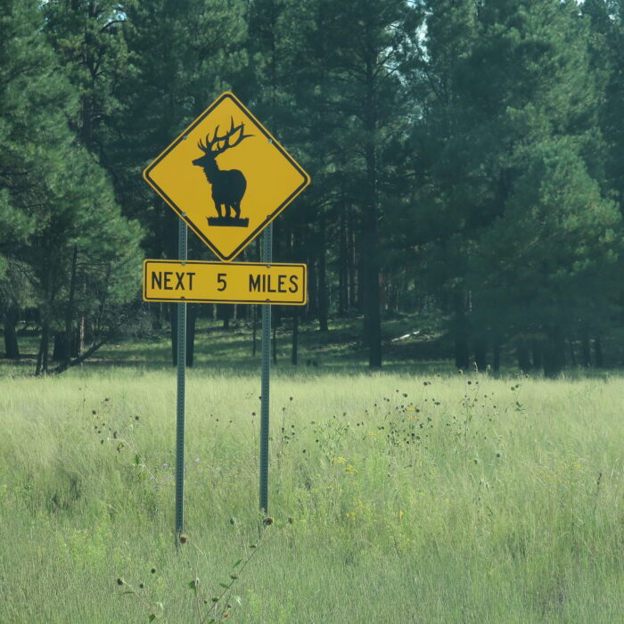 Road sign cerf