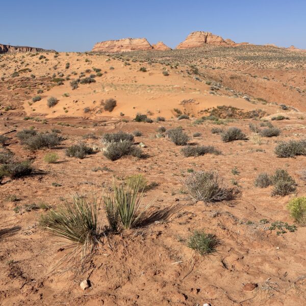 Profondeur et étendue du désert en Arizona, exemple de composition photographique